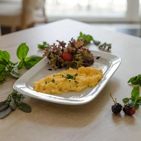 酒店 Bivio 布拉迪斯拉发